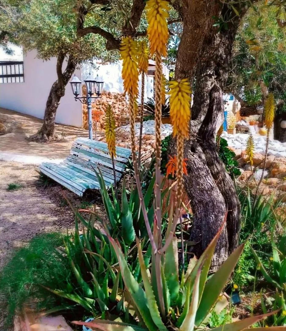 Villa Flaire Mar Tarragona